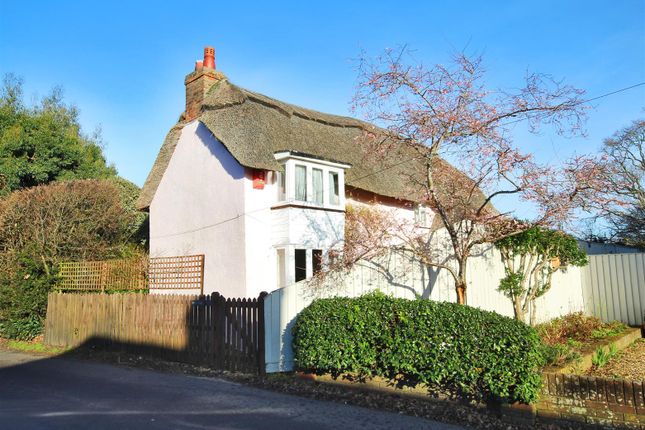 Thumbnail Cottage to rent in North Street, Pennington, Lymington