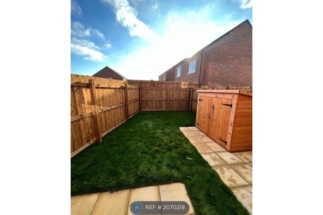 Semi-detached house to rent in Newcastle, Newcastle