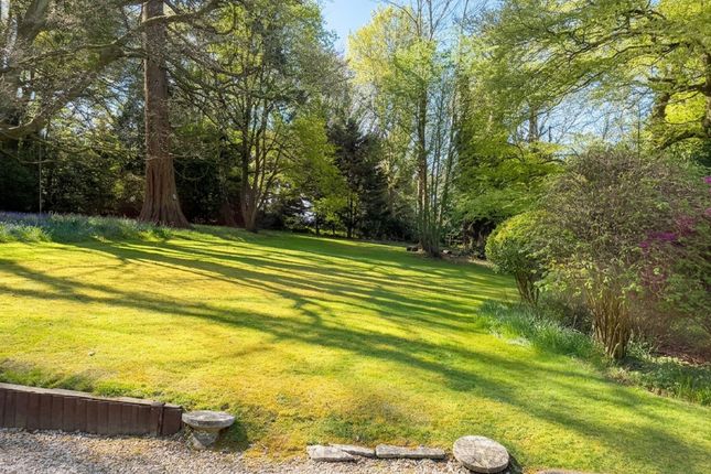 Depedene Southampton Road, Southampton photo 3