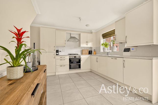 46, Avocet Rise, Norwich photo 3
