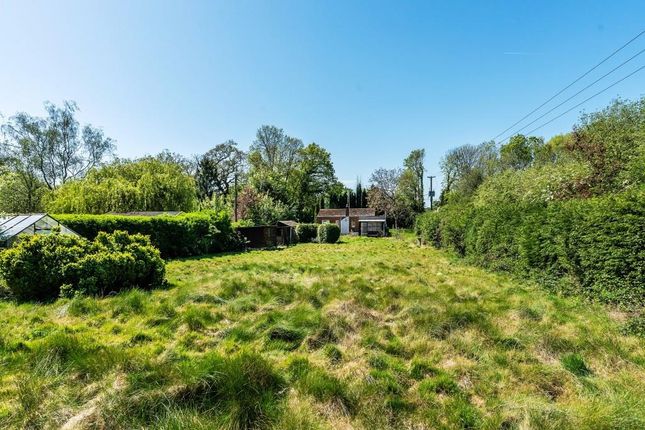 Timberlow, Horsham Road, Capel photo 4