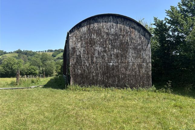 Barn At Northleigh,, Northleigh, Devon photo 5