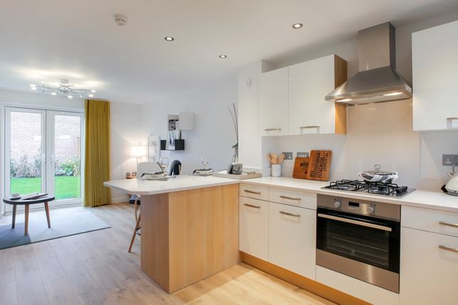 Plot 187, The Furlongs  Towcester Grange, Towcester photo 3