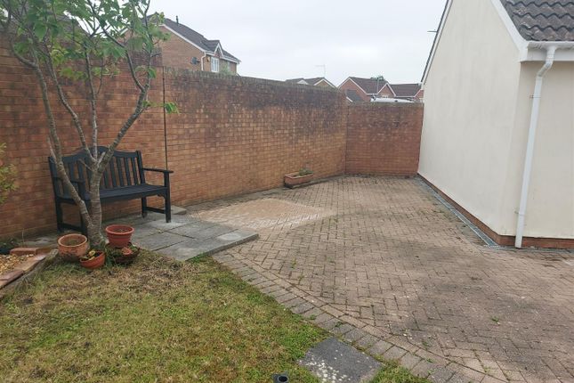 Garden.Jpg