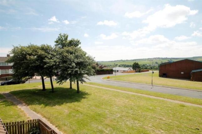 18, Pine Park, Durham photo 5