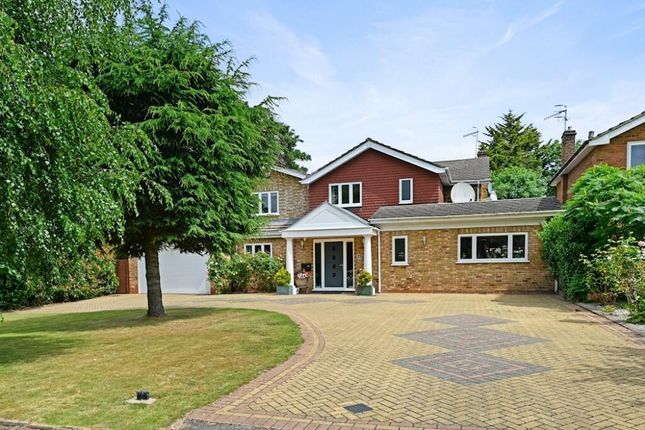 Davidson Frost-Wellings, Dfw, Heathfield Road, Bus