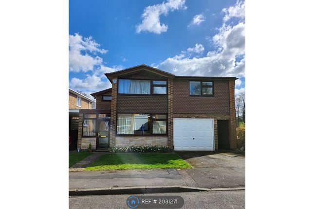 Thumbnail Detached house to rent in Brookfield Avenue, Loughborough