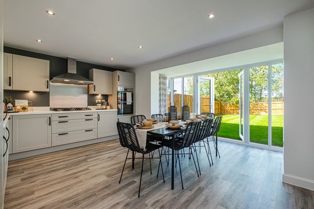Plot 65 The Exeter, Clockmakers, Tilstock Road, Whitchurch photo 3