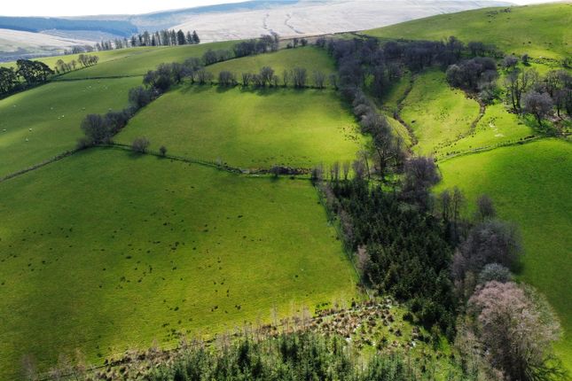 Lot 2: Cwmpadest Farm,, Crai, Powys photo 5