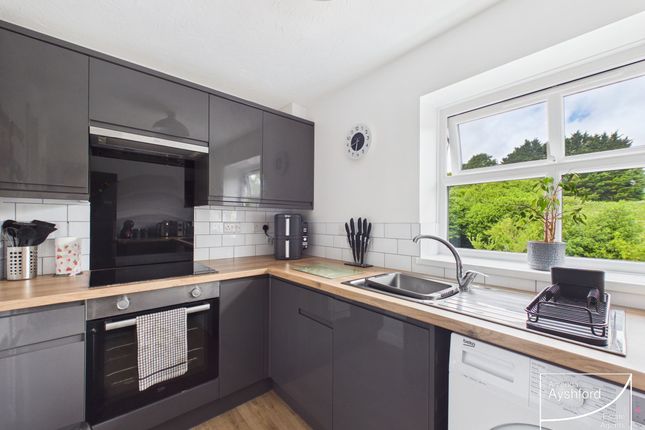 47 Earlswood Drive, Paignton photo 3