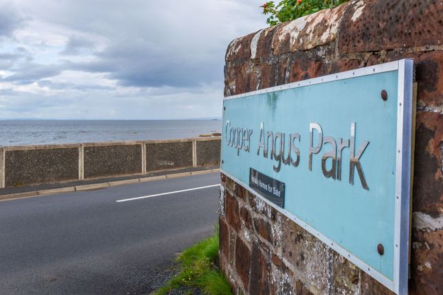 Plot 44 Cooper Angus Park, Whiting Bay, North Ayrshire photo 5