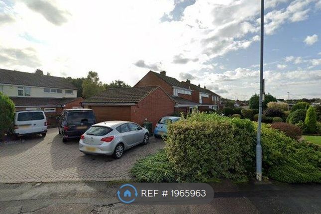 Thumbnail Room to rent in Ashmead Crescent Birstall, Leics