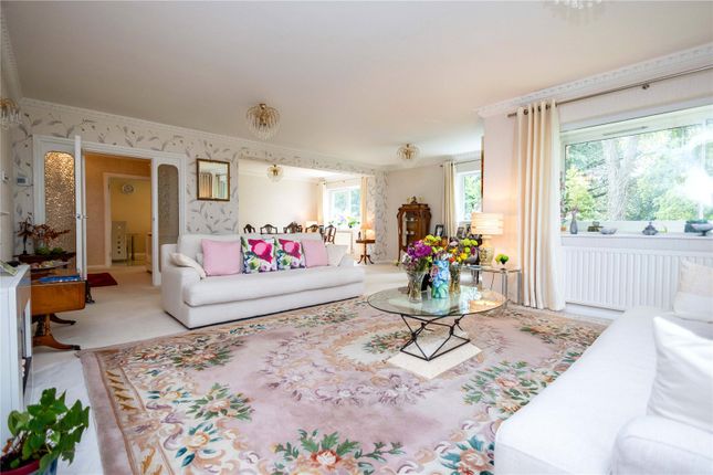 3,, Forsyte Shades, Canford Cliffs photo 3