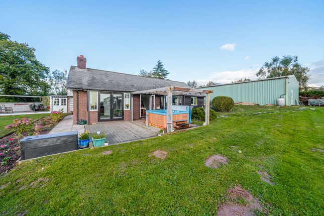 Thumbnail Bungalow for sale in Little Birch, Hereford