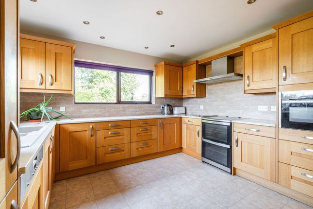 39 Langley Green, Norwich photo 4