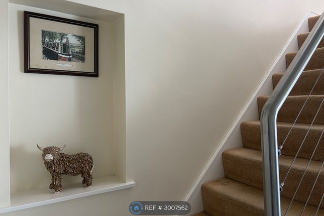 Campbell Avenue, Leek photo 5