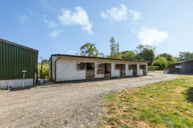 Runnymeade Farm,, Reeds Lane, Horsham photo 4