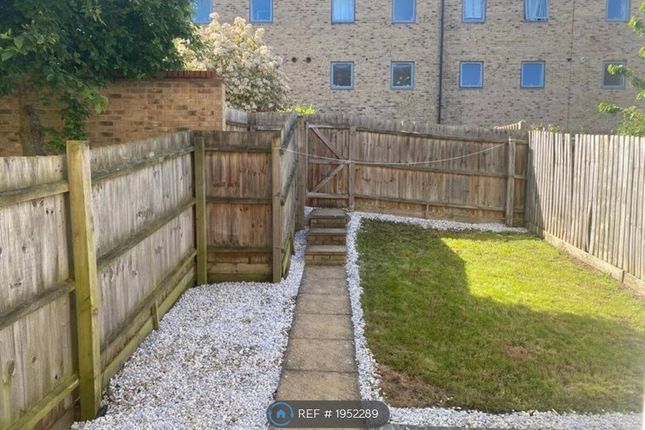 Terraced house to rent in Woodhead Drive, Cambridge CB4