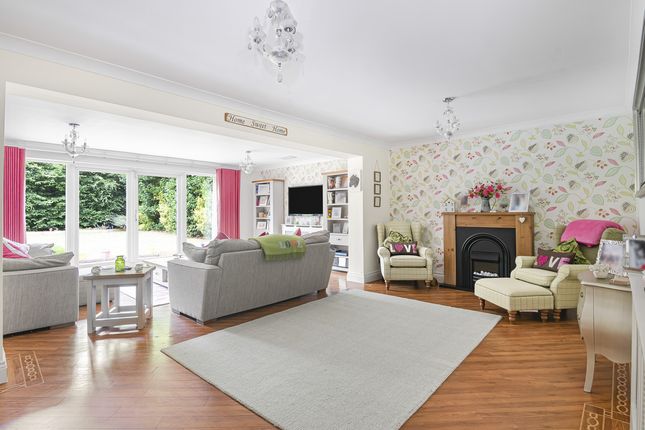 April Rise, Tysea Hill, Romford photo 4