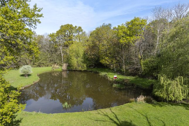 Pond