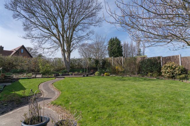 Garden 1.Jpg