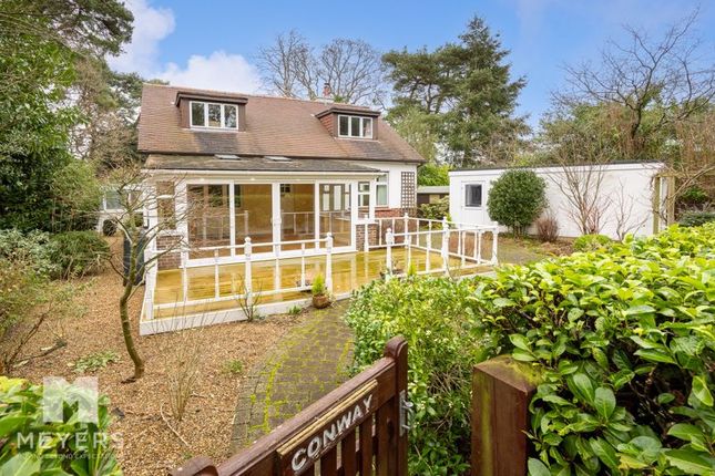 Thumbnail Detached house for sale in St. Leonards, Ringwood