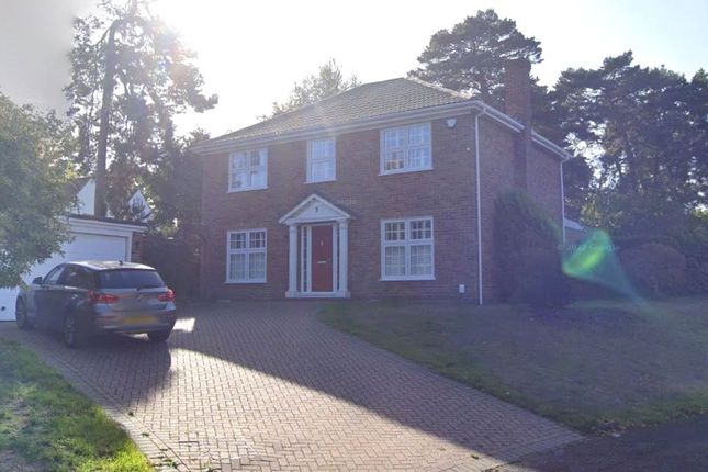 Thumbnail Detached house for sale in Bellever Hill, Camberley, Surrey