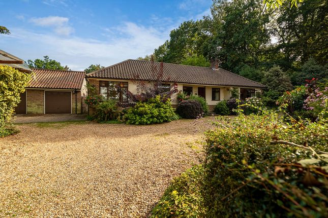 Thumbnail Detached bungalow for sale in Holly Hill Lane, Sarisbury Green, Southampton