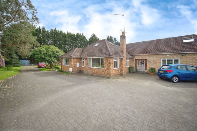 Thumbnail Bungalow for sale in Westwood Lane, Normandy, Guildford, Surrey