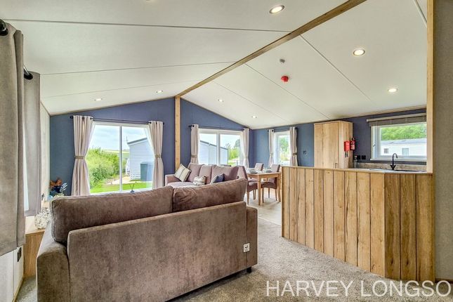 Stowford Farm Meadows, Berry Down, Ilfracombe photo 5