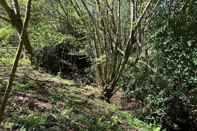 21.53 Acres, Pastureland, Marston Stannett, Leominster photo 4