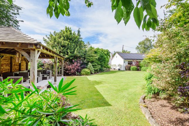 Vine Cottage, Broadhempston, Totnes photo 2