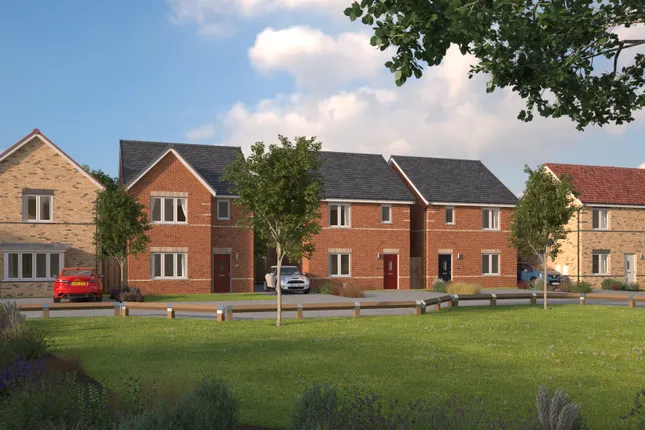 Together Homes - Trinity Fields