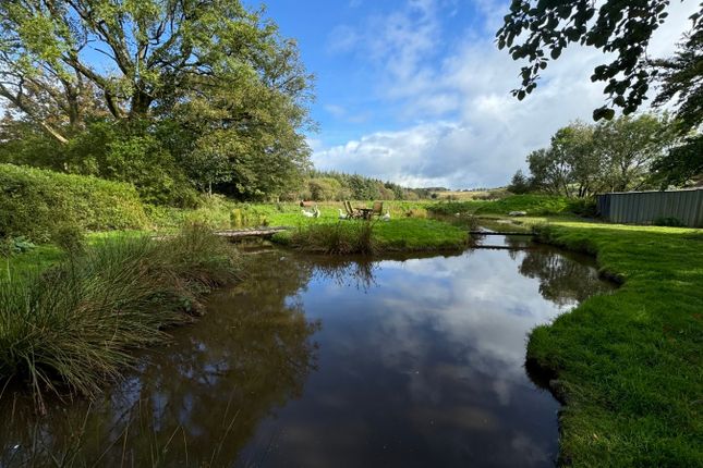 Morfa Du, Trefenter, Aberystwyth photo 4