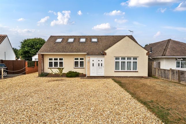 Front Garden/Driveway