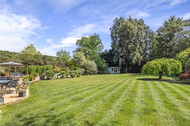 26, Broad Highway, Surrey photo 4