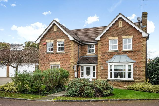 Detached house to rent in Roundshead Drive, Warfield, Berkshire
