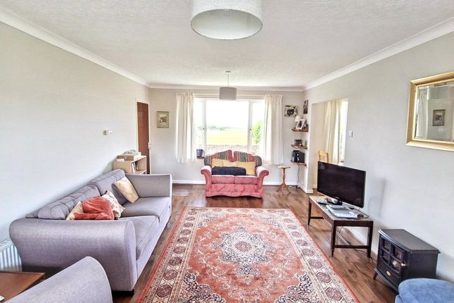 Browylan, Llanon photo 2