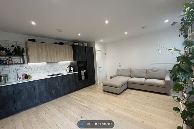 Living Room  / Kitchen