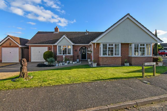Thumbnail Detached bungalow for sale in Mayfield, Leavenheath, Colchester