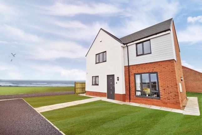 Thumbnail Detached house for sale in Hays Gardens (Plot 54), Hartlepool