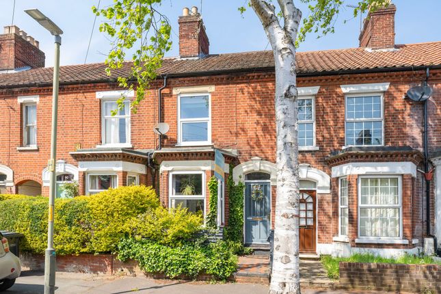 Thumbnail Terraced house for sale in Muriel Road, Norwich