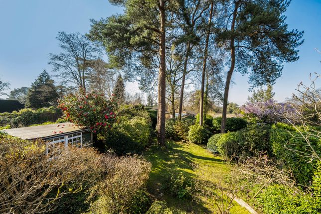 78, Seymour Road, Headley Down photo 3