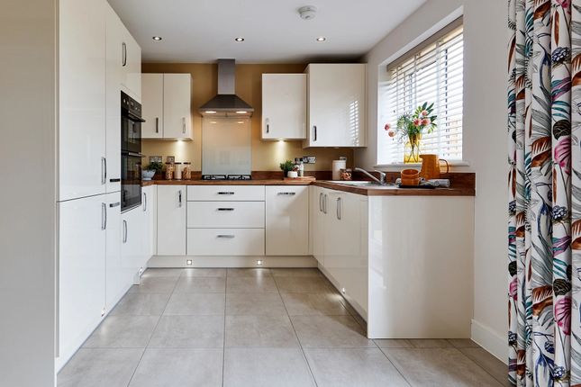 Plot 268, Buckton Fields, Northampton photo 4