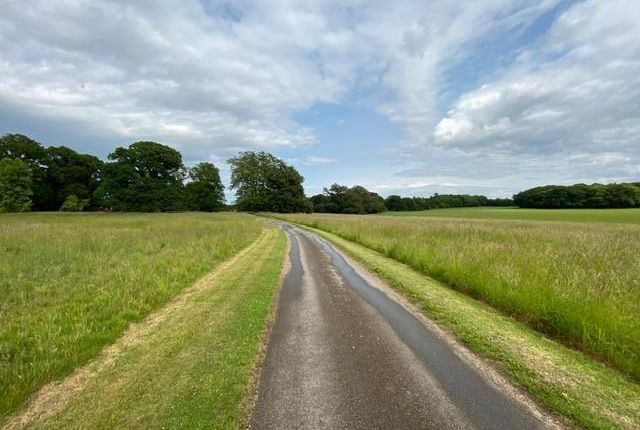 Attractive Approach Through Open Parkland