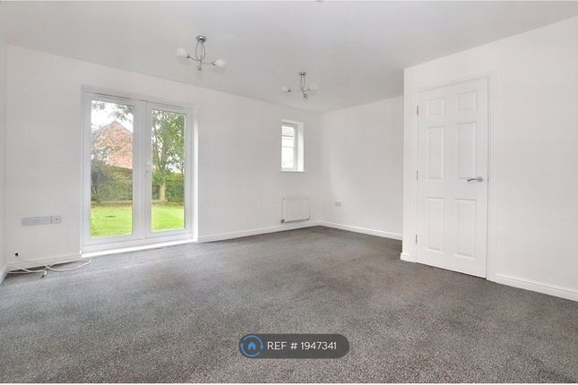 Thumbnail Semi-detached house to rent in Shambles Drive, Copplestone