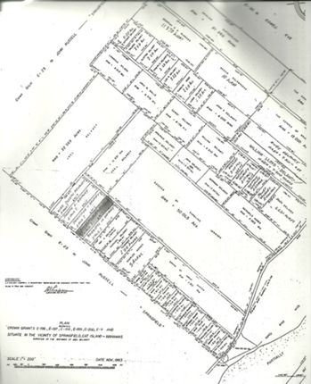 Land for sale in Springfield, Cat Island, The Bahamas