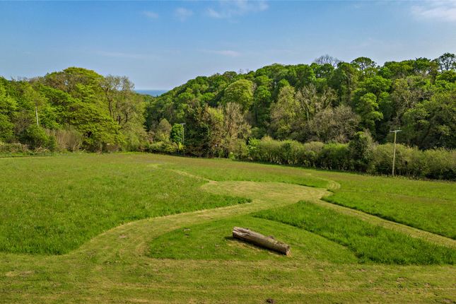 Meadow Field