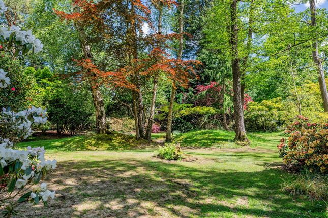 Wilderbrook, Eden Vale, East Grinstead photo 5