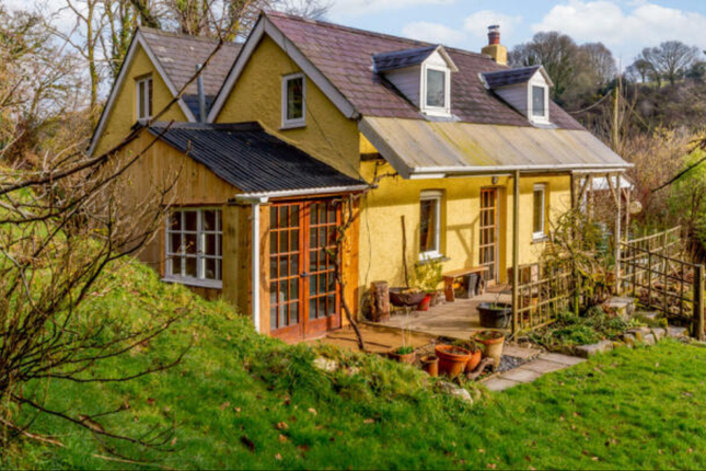 Hafod Y Dail, Penffordd, Clynderwen photo 2